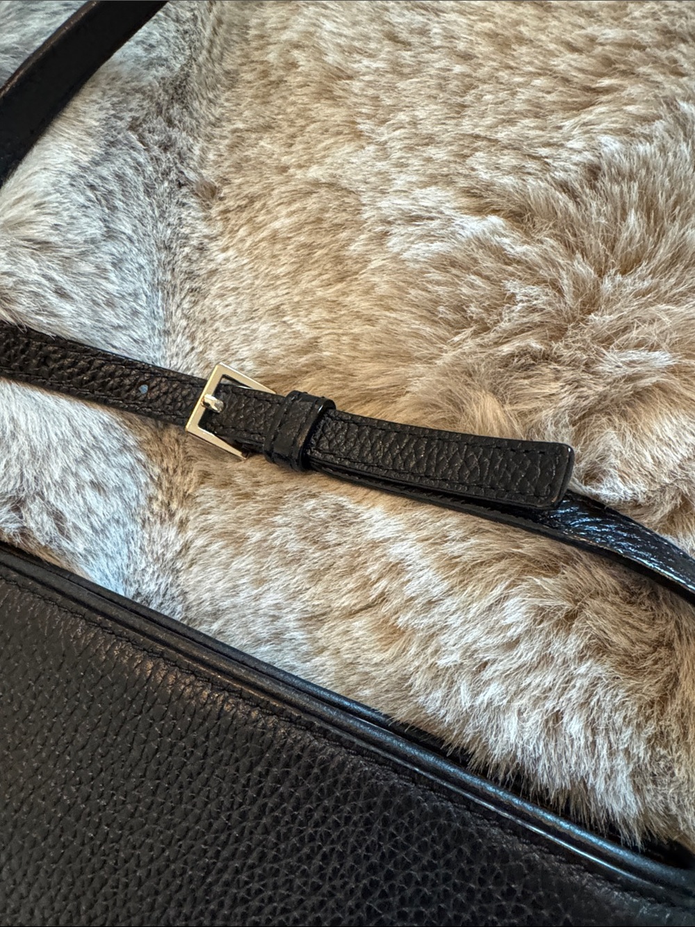 Kate Spade New York, specifically the Chester Street Dessi crossbody model - Picture 6 of 10